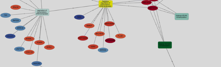 Gene ontology (GO) and pathway enrichment
