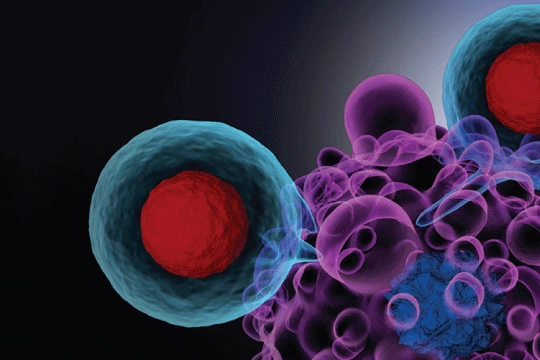 Basic Molecular Biology Facility